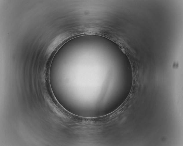 X0000112210242200908141504