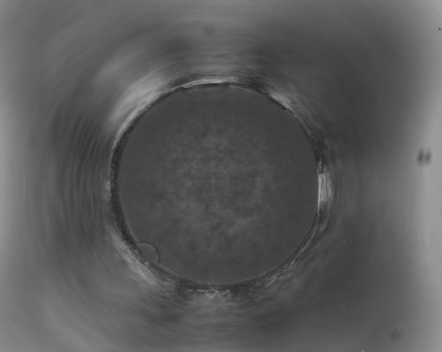 X0000112210243200908141504