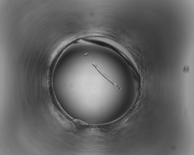 X0000112210244200908141504