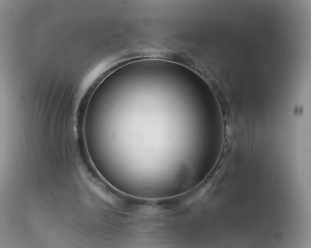 X0000112210246200908141504