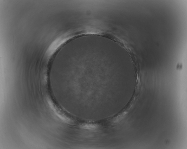 X0000112210247200908141505