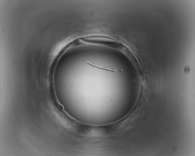 X0000112210248200908141505