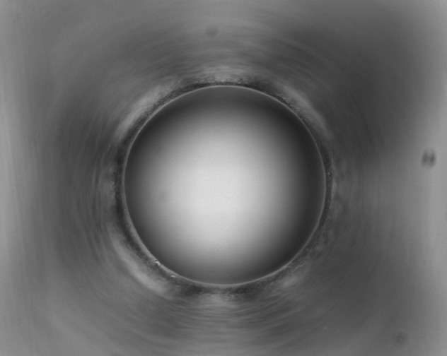 X0000112210250200908141505