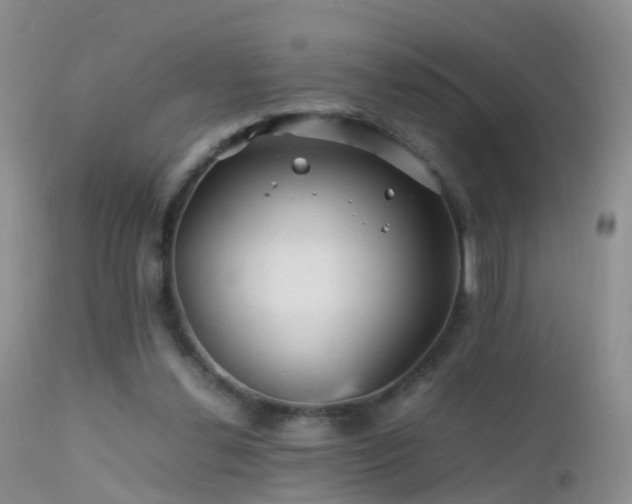 X0000112210252200908141505