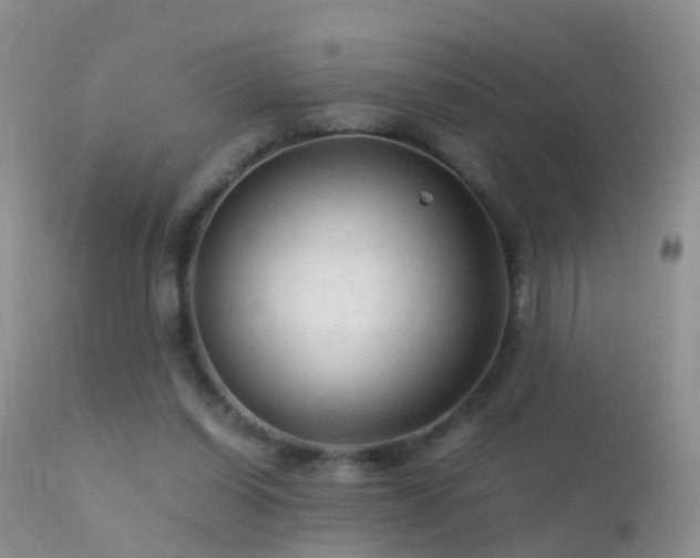 X0000112210254200908141505