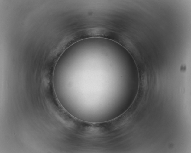 X0000112210255200908141505