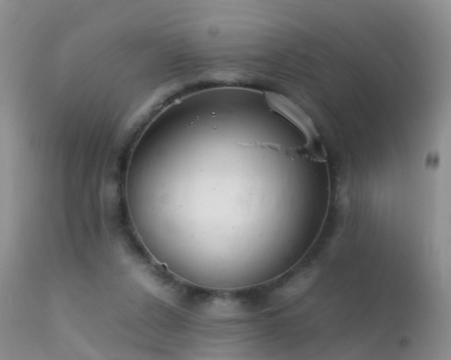 X0000112210256200908141505