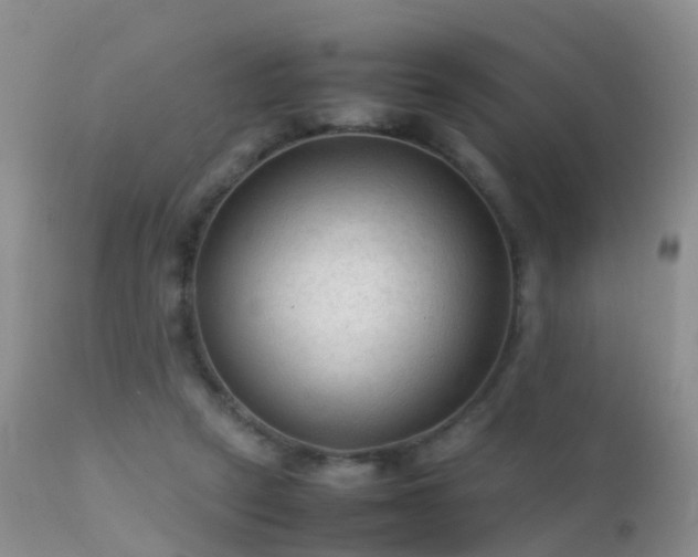 X0000112210257200908141505