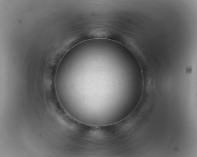 X0000112210259200908141505