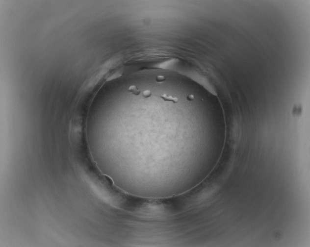 X0000112210260200908141505