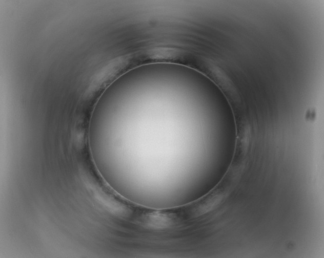 X0000112210261200908141505