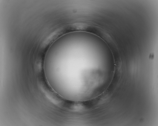 X0000112210262200908141505