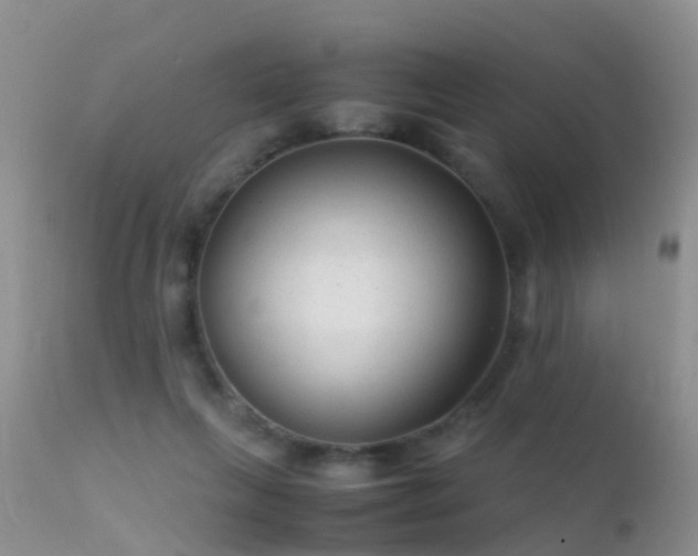 X0000112210263200908141505