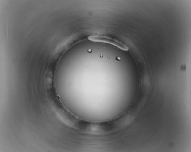 X0000112210264200908141505