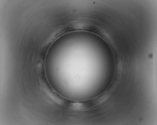 X0000112210265200908141505