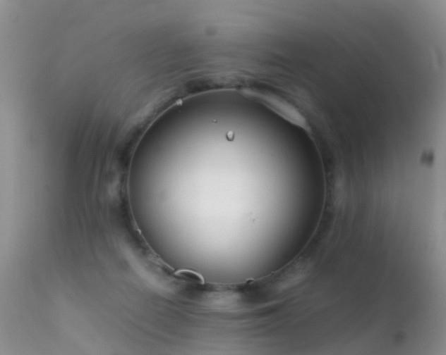 X0000112210266200908141505