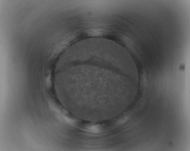 X0000112210267200908141505