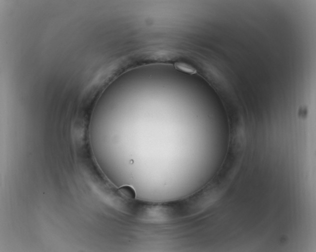 X0000112210268200908141505