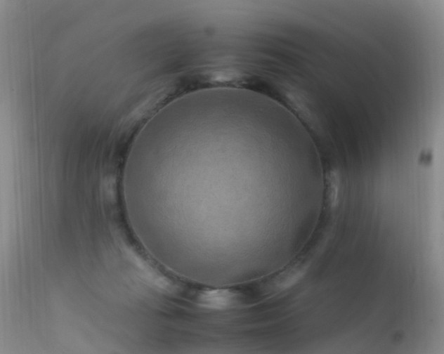 X0000112210269200908141505