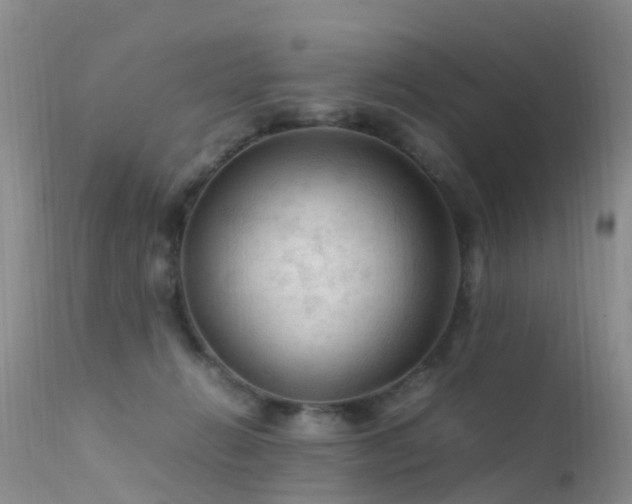 X0000112210270200908141505