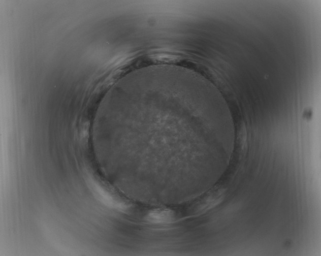 X0000112210271200908141505