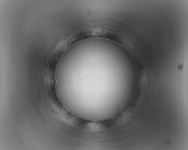 X0000112210272200908141505