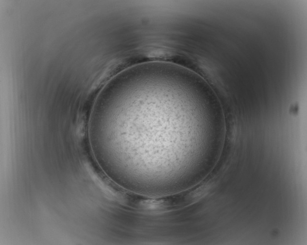 X0000112210273200908141505