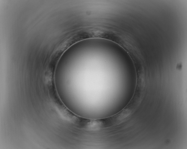 X0000112210274200908141505