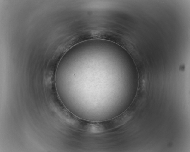 X0000112210275200908141505