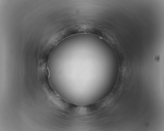 X0000112210276200908141505