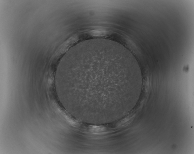 X0000112210277200908141505