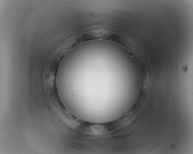 X0000112210279200908141505