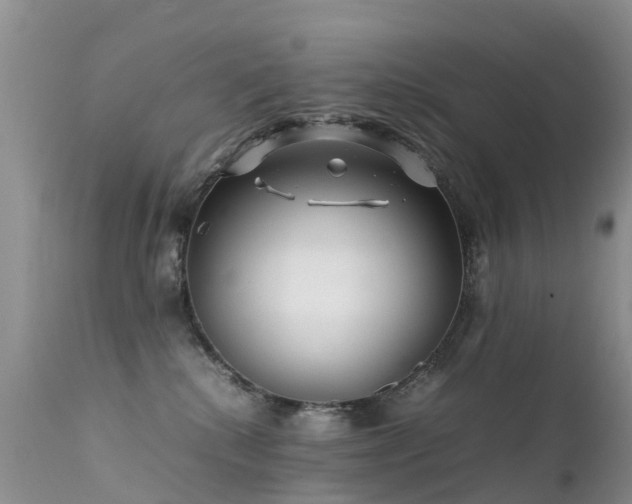 X0000112210280200908141505