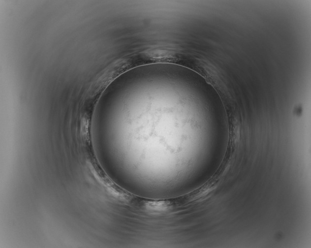 X0000112210281200908141505