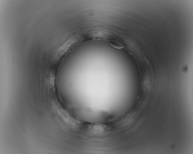 X0000112210282200908141505