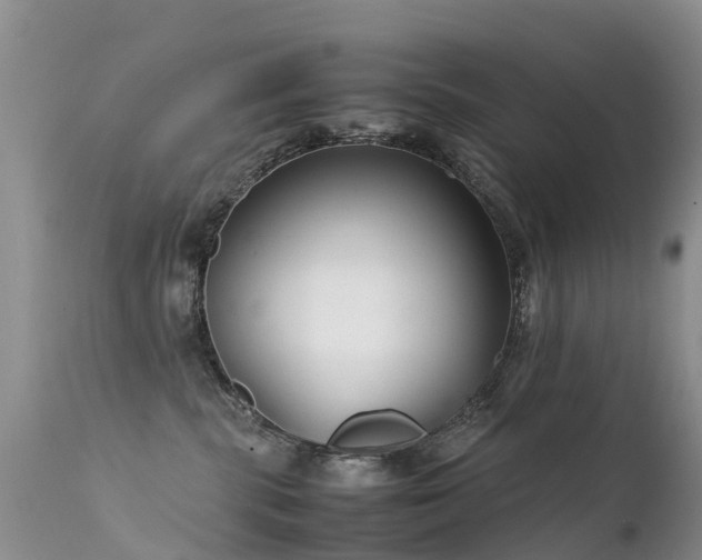 X0000112210283200908141505