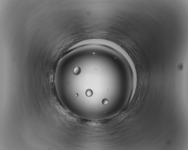 X0000112210284200908141505