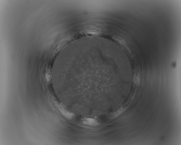 X0000112210285200908141505