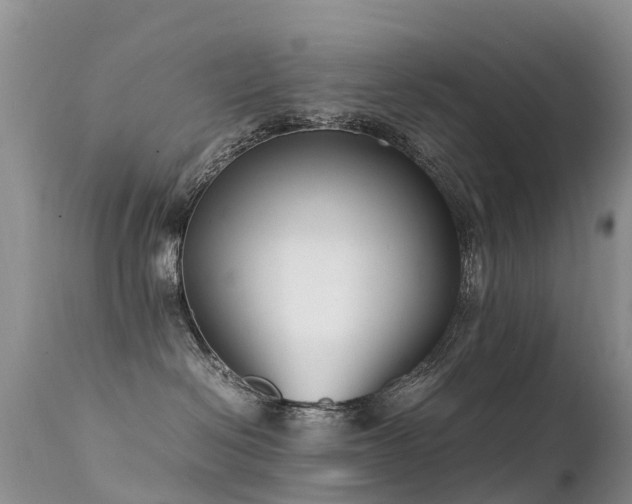 X0000112210286200908141505