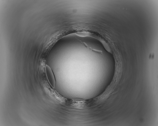 X0000112210288200908141505