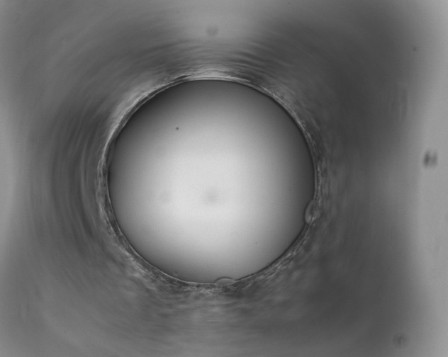 X0000112210289200908141504