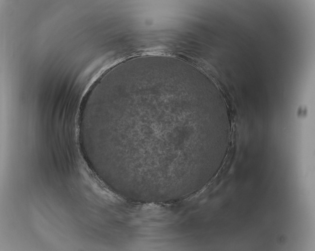 X0000112210290200908141504