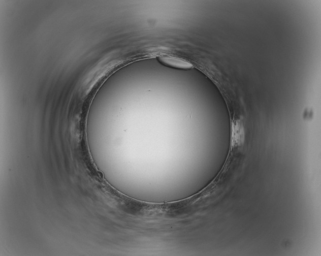 X0000112210291200908141504