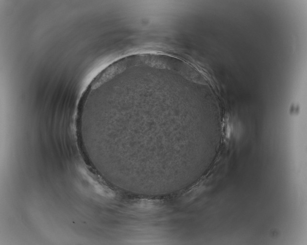 X0000112210292200908141504