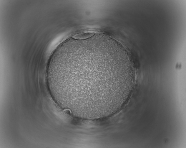 X0000112210293200908141504