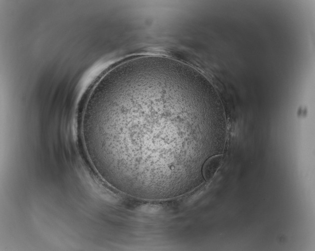 X0000112210294200908141504