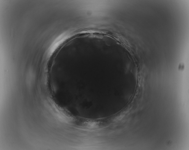 X0000112210295200908141504