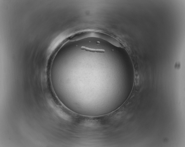 X0000112210296200908141504