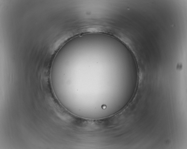 X0000112210297200908141504