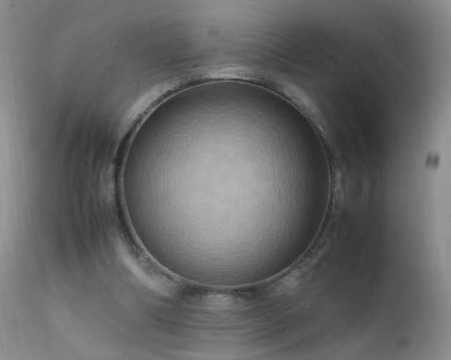 X0000112210298200908141504